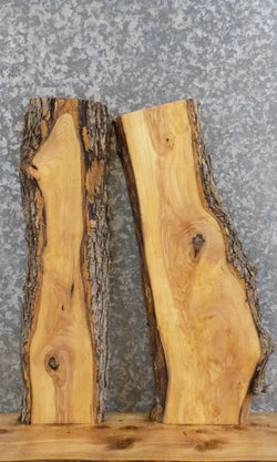 2- Live Edge Ash Mantle/Bar Top/Craftwood Slabs 4195-4196
