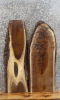 2- Live Edge Black Walnut End/Accent/Coffee Table Top Slabs 1325-1326