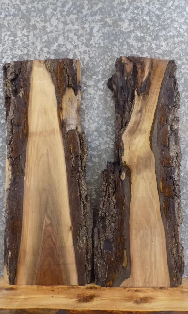 2- Live Edge Black Walnut Wall Shelf/End/Accent Table Top Slabs 1522-1523