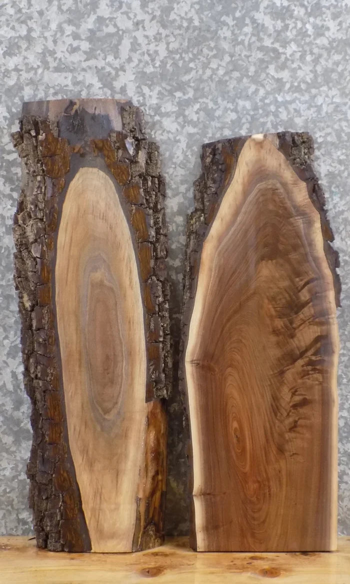 2- Rustic Black Walnut Live Edge End/Side Table Top Wood Slabs 1794-1795