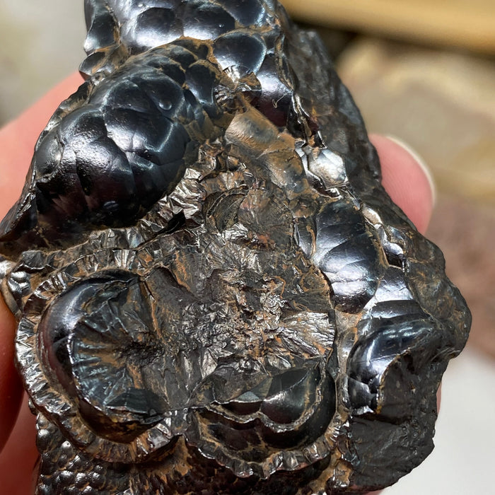 Botryoidal Hematite #26
