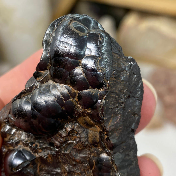 Botryoidal Hematite #26