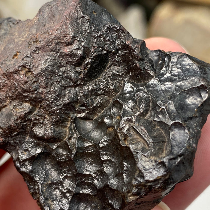 Botryoidal Hematite #26