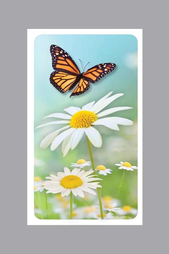 Butterfly in Flight Prayer Cards - ST8551-MIC-PC