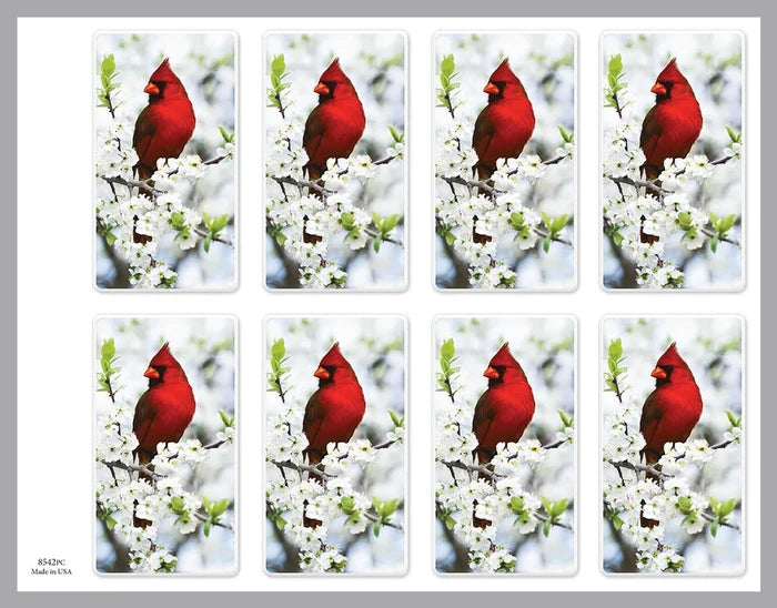 Cardinal Prayer Cards - ST8542-MIC-PC