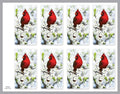 Cardinal Prayer Cards - ST8542-MIC-PC