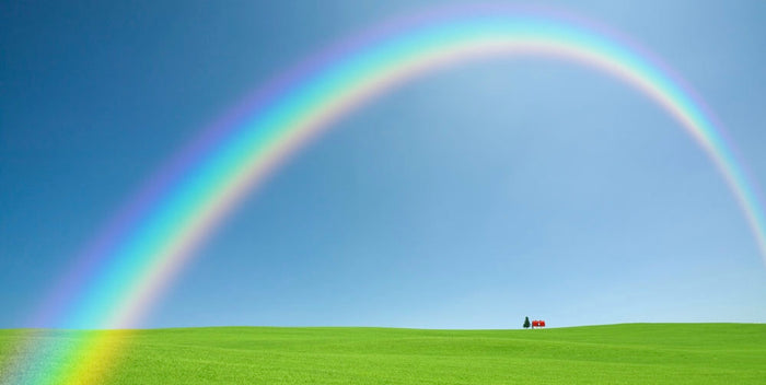 Illumination of God’s Wealth #88