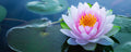 KARUNA KI - Experience the Heart of Understanding #85