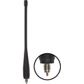 Laird Connectivity EXP-806-MD