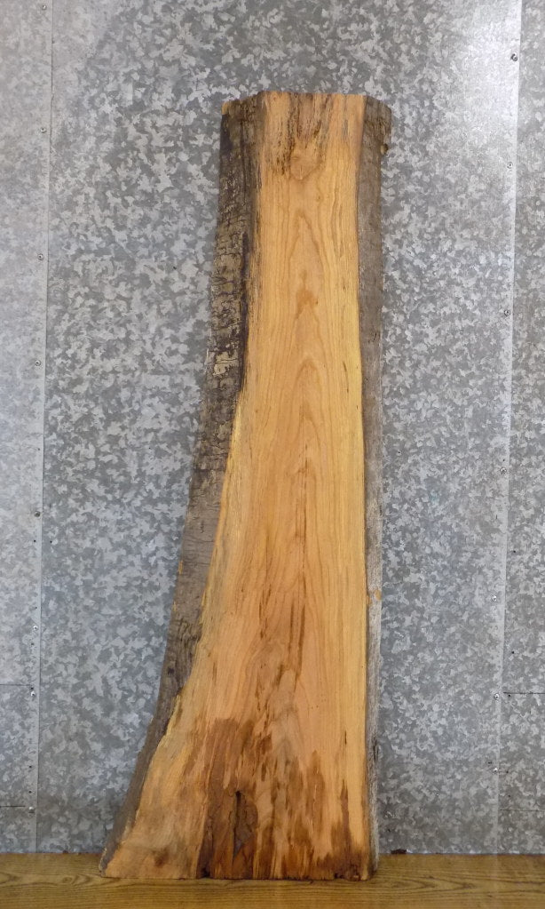 Live Edge Ash Reclaimed Coffee/Sofa Table Top Wood Slab 4089