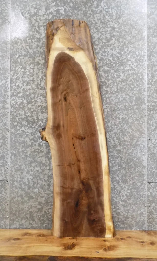 Live Edge Black Walnut Bar Top/Mantle/Accent Table Top Slab 1440