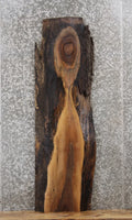 Live Edge Black Walnut Side Table/Wall Shelf Wood Slab 1376