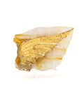 18th century Italian gilded fragment mounted on a golden, polished hematoid slab and adorned with a baroque pearl.