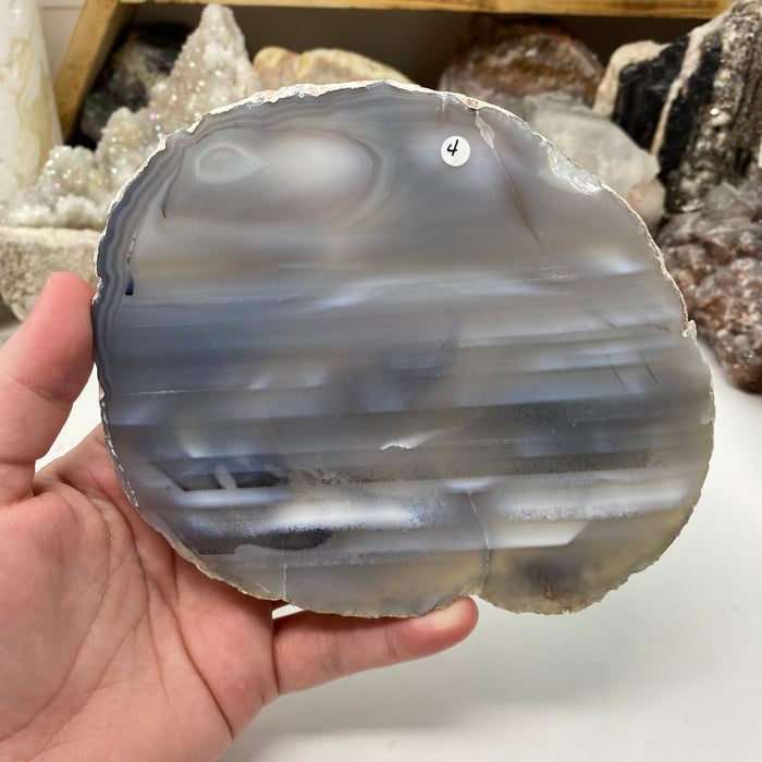 Natural Large Agate Slice #04