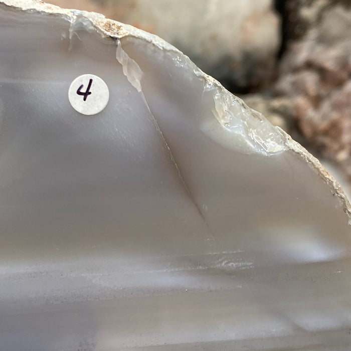 Natural Large Agate Slice #04