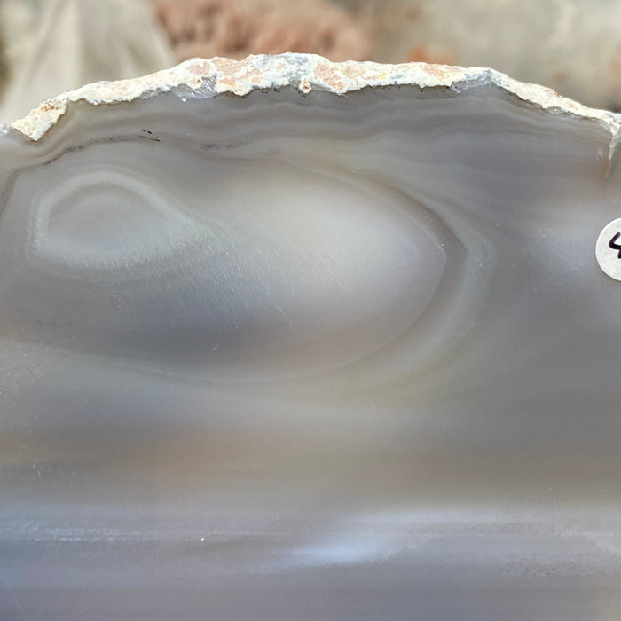 Natural Large Agate Slice #04