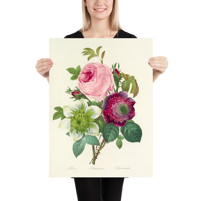 Rose, Anemone and Clematis (Plate 95) by Pierre Joseph Redouté, 1827