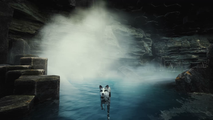 Spirit of the North: Enhanced Edition  – PlayStation 5 Adventure Game