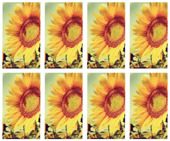 Sunflower Prayer Cards - ST8568-MIC-PC