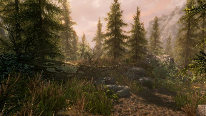 The Elder Scrolls V: Skyrim Special Edition  – PlayStation 4 RPG Game