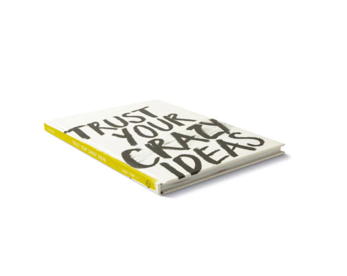 Trust Your Crazy Ideas Book